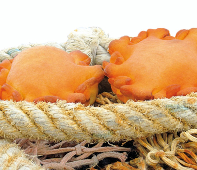 spécialités sétoises à Montpellier dans l'Hérault 34